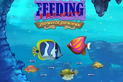 Feeding-Frenzy