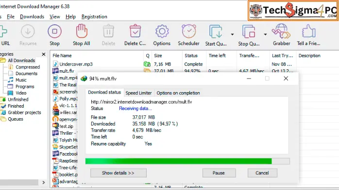 Internet Download Manager