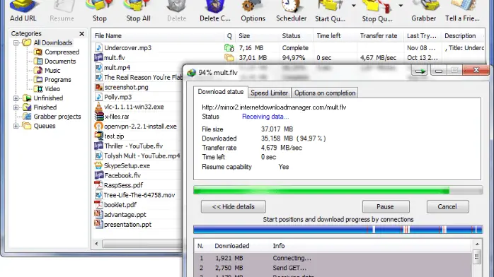 Internet Download Manager